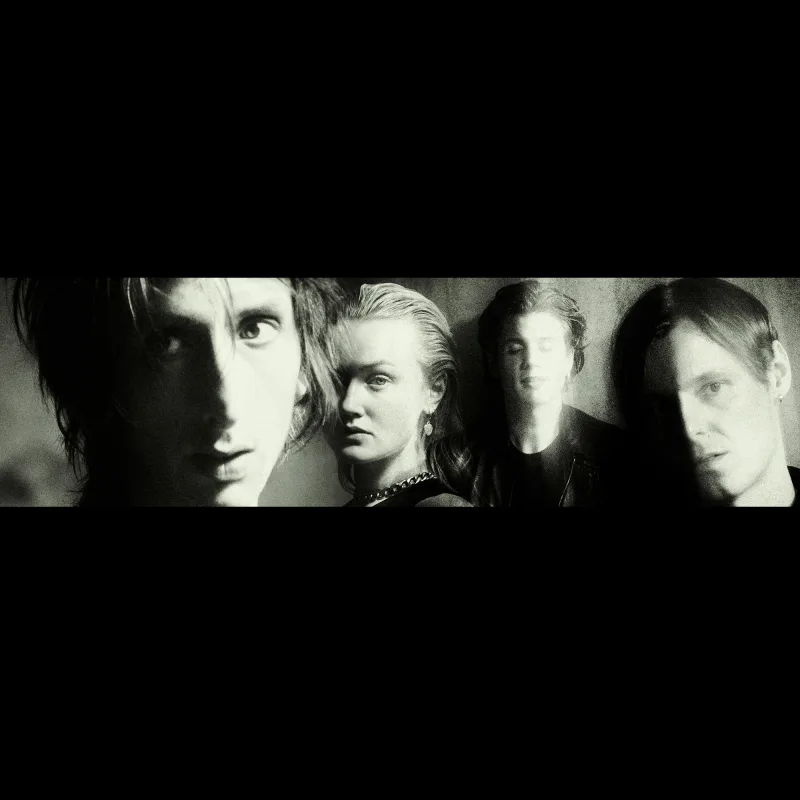 The Horrors