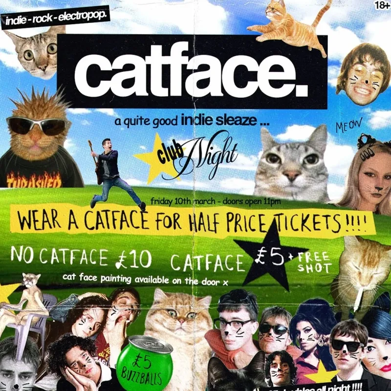catface: quite good indie sleaze