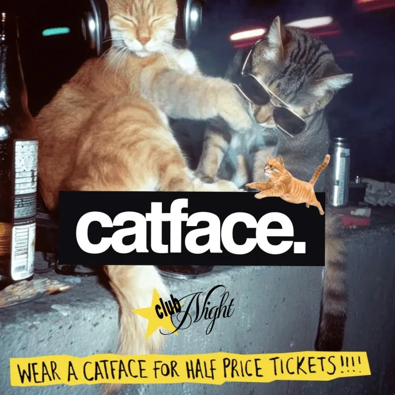 catface: quite good indie sleaze