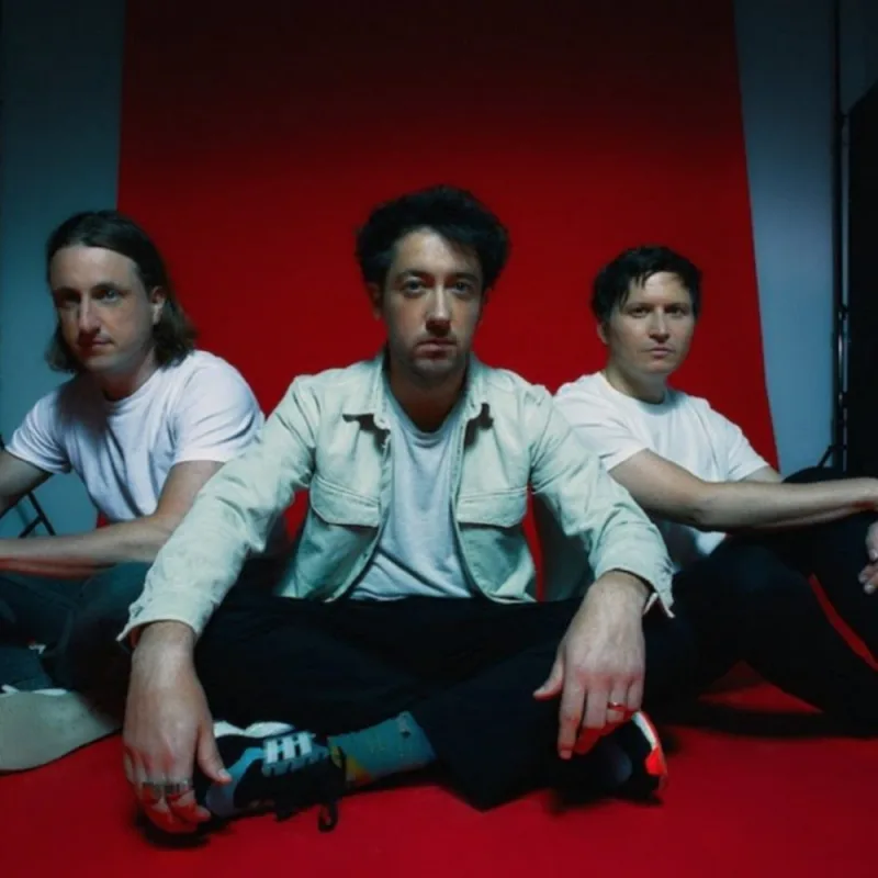 The Wombats