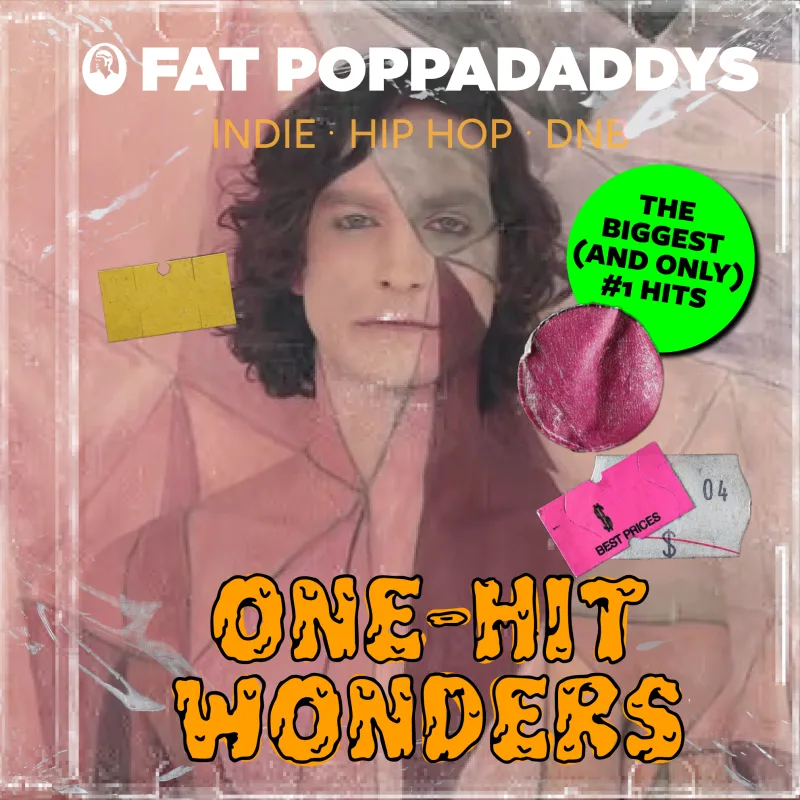 Fat Poppadaddys: One Hit Wonders