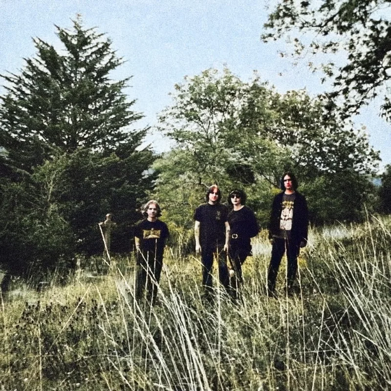 The Wytches
