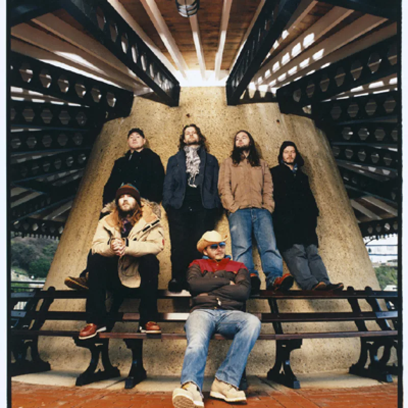 The Bees