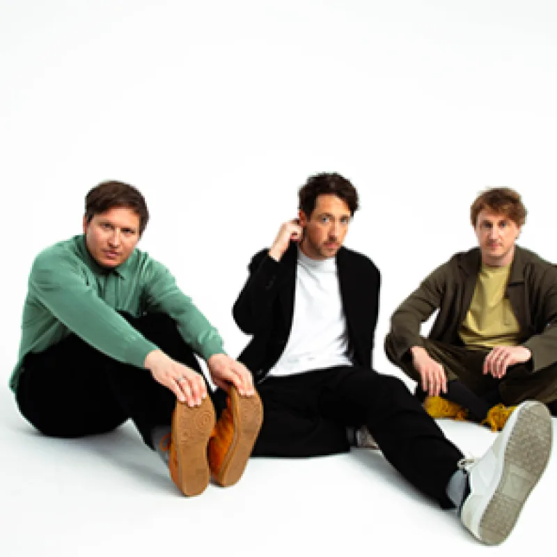 The Wombats